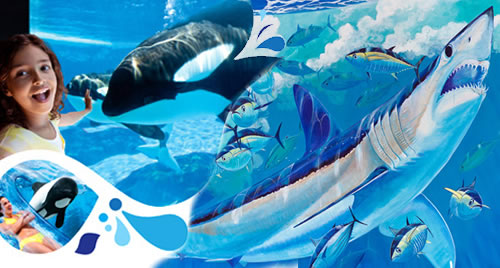 O SeaWorld Parks & Entertainment acaba de fechar uma parceria com o renomado artista Guy Harvey, famoso por suas obras com temas marinhos! A parceria visa a conscientização para a preservação dos oceanos e das espécies de tubarão. Além disso, o SeaWorld O