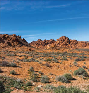 Lake Mead National Recreation Area