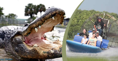 De 15 a 17 de Janeiro, os Everglades celebram o Nature Festival com atividades guiadas de ecoturismo pela vida selvagem. Ao todo são mais de 40 tours diferentes, que vão de caminhadas pelos pântanos, caiaque e tours de buggy. Durante o festival, visitante