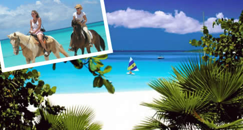 Além de contar com praias paradisíacas e uma beleza natural inigualável, Anguilla surpreende com atrações únicas, como o passeio de cavalo em Cove Bay