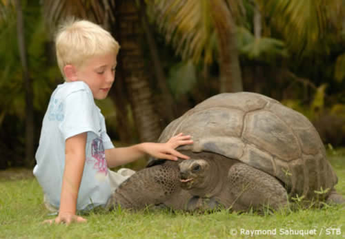  Seychelles Islands - Ilhas Seychelles