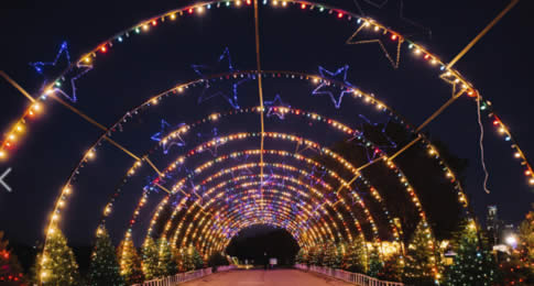 Em dezembro, o céu brilha mais do que o normal no Texas. Durante o período de Natal, milhares de luzes são acesas por todo o estado e decoram pontos turísticos, casas e parques, atraindo turistas de todo o país e do mundo.