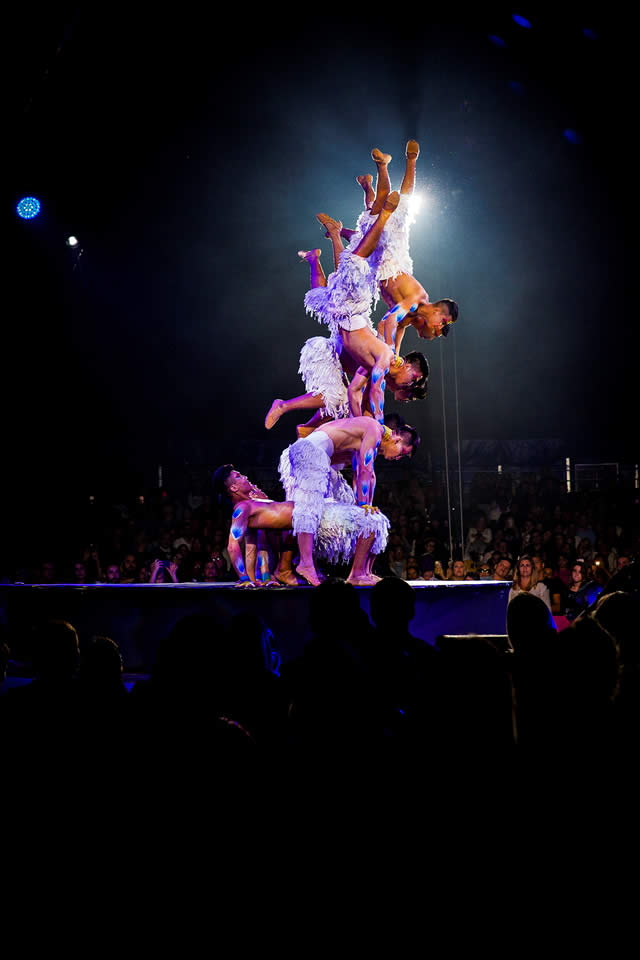 1st Cirque International Festival of Brazil Contest