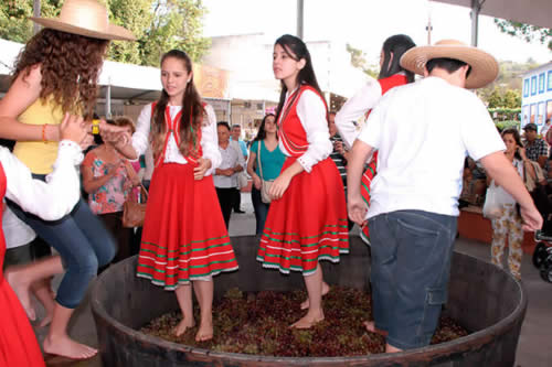 22ª Expo São Roque