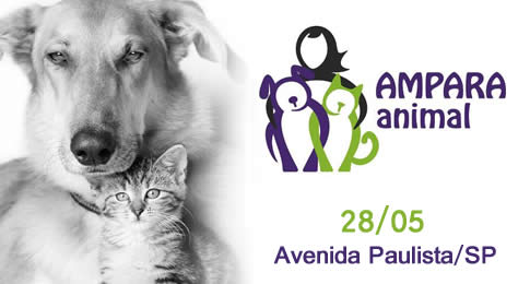 Em parceria com a AMPARA Animal, organização sem fins lucrativos que cuida de cães e gatos rejeitados pela sociedade, o ibis São Paulo Paulista anuncia a terceira edição do seu evento de adoção de animais, que acontece neste domingo, dia 28 de maio, a par
