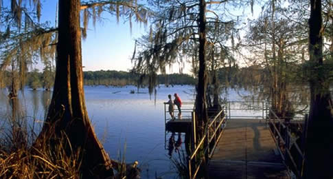 A Louisiana é um paraíso para quem gosta de atividades ao ar livre. O que falta em elevação, é compensado por uma grande densidade de flora e fauna. São milhares de trilhas e 22 Parques Estaduais. Separamos algumas que você deve conhecer - que ficam entre