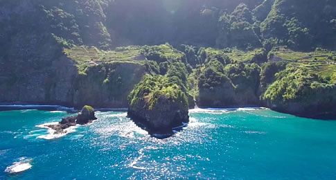 Situada em meio à imensidão do Oceano Atlântico, a Ilha da Madeira possui um litoral rico e com exuberante fauna, pronto para ser descoberto por seus visitantes. Em um passeio de barco, s