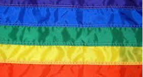 Celebrar os avanços conquistados, como a retirada do projeto da Cura Gay, a regulamentação da união homo-afetiva e o crescimento constante da sociedade se