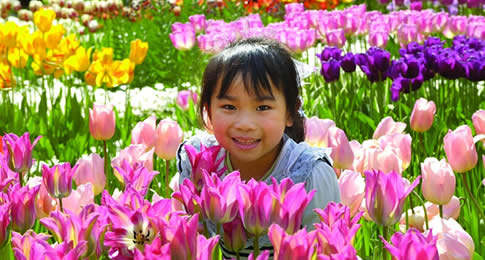 O maior parque de flores do mundo e uma das principais atrações turísticas da Holanda, inspira viajantes em sua 69ª edição