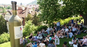 A festa popular de vinho, burčák e petiscos gastronômicos celebra-se na vinha mais antiga de Praga. A vinha de São Venceslau é numa roca ao pé do Cast