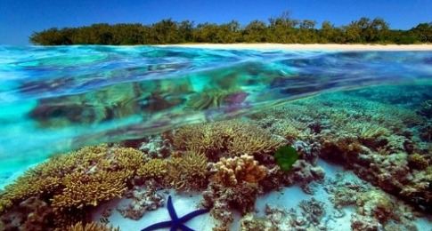 O clima romântico, o mar encantador e as 24 praias privadas na Barreira de Corais da Austrália tornam o destino um verdadeiro paraíso para os apaixonados. Lizard Island Resort é local perfeito para comemorar o Dia dos Namorados