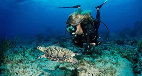 Localizado a apenas 1 hora de Miami, as Ilhas Cayman desenvolvem o mergulho recreativo desde o final dos anos 50.