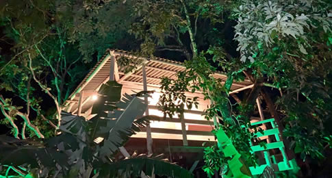 A exótica hospedagem é uma edificação em madeira com 40 m² está envolta por um abacateiro adulto, a mais de quatro metros de altura do solo. Ideia é  promover contato com a natureza em um dos cenários mais queridos pelos turistas em Goiás
