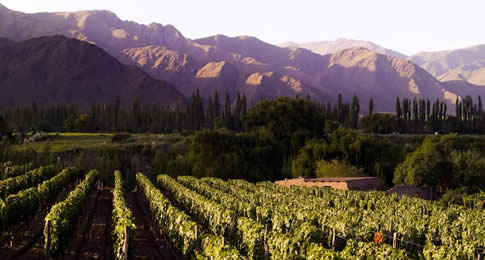 A atividade econômica de Mendoza está fortemente vinculada à indústria de elaboração de vinhos e azeite