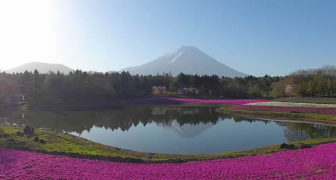 Organização Nacional do Turismo Japonês abre inscrições para JAPAN Best Incentive Travel Awards
