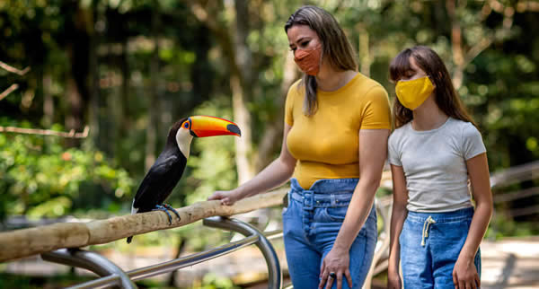 Atrativo recebeu o turista nesta em Foz do Iguaçu. A visitação à única instituição do mundo focada na conservação das aves da Mata Atlântica teve início em 1994