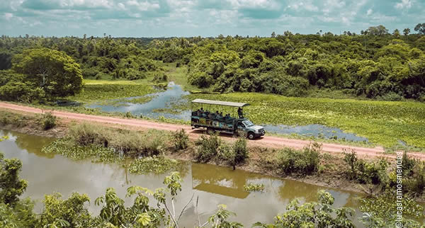 O Mato Grosso do Sul abriga dois dos principais roteiros de ecoturismo do Brasil