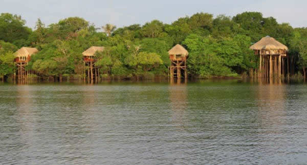 Com bangalôs construídos sobre palafitas nas copas das árvores, o Juma Amazon Lodge é uma ótima opção de hospedagem para quem quer explorar os encantos e as tradições da floresta amazônica.