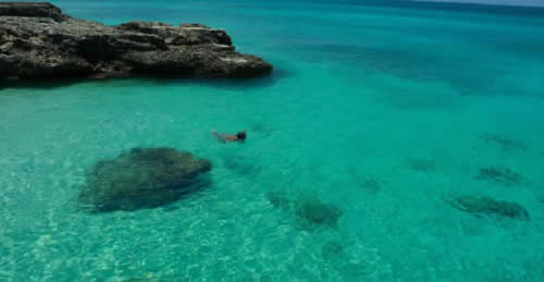 Snorkel Aruba