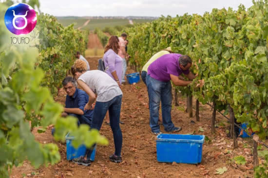 O que fazer no Alentejo segundo os astros