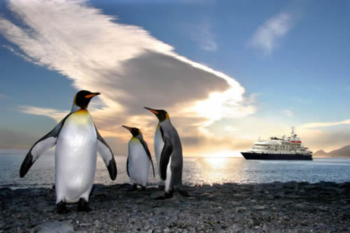 Antartica pinguim e navio