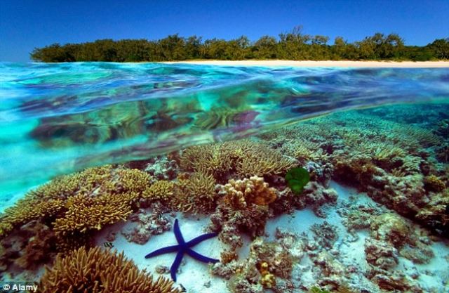 Lizard Island - Grande Barreira de Corais Australiana - Australia - Paraso - Destinos