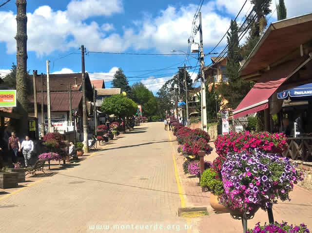 Florida - Avenida Monte Verde