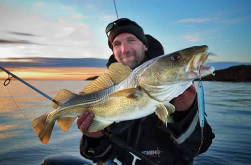 Cod Fishing Off The Coast Of The Fosen Peninsula