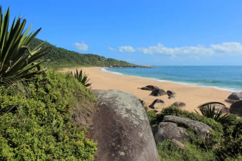  MSC Cruzeiros realiza escala inaugural em Balneário Camboriú, novo destino para a próxima temporada no país 