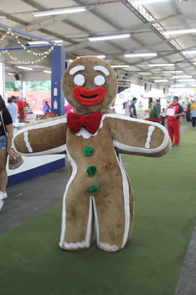 Biscoito de Gengibre (The Gingerbread Man) - José Francisco Pacóla