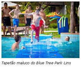 Blue Tree Park Lins