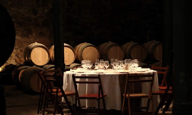 Bodega Spinoglio - Montevideo - Uruguai - Vinho - Vino 