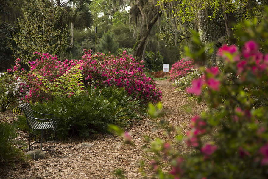 Jardim Botnico - Bok Tower Gardens - Paisagismo - Flrida - Jardim - Natureza