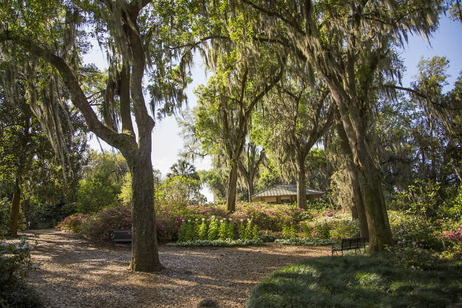 Jardim Botânico - Bok Tower Gardens - Paisagismo - Flórida - Jardim - Natureza