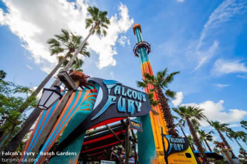 Falcon's Fury - Busch Gardens Tampa