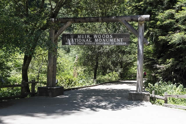 Calif�rnia - Natureza - Nature - Estados Unidos - Aventura - Adventure - Trilha - Muir Woods - Trail