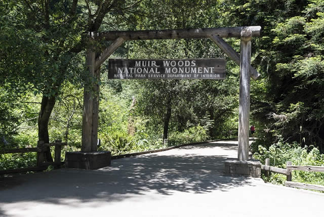 Califrnia - Natureza - Nature - Estados Unidos - Aventura - Adventure - Trilha - Muir Woods - Trail