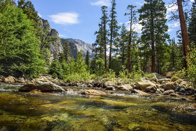 Calif�rnia - Natureza - Nature - Estados Unidos - Aventura - Sequoia - Kings Canyon - Adventure - Trilha - Trail