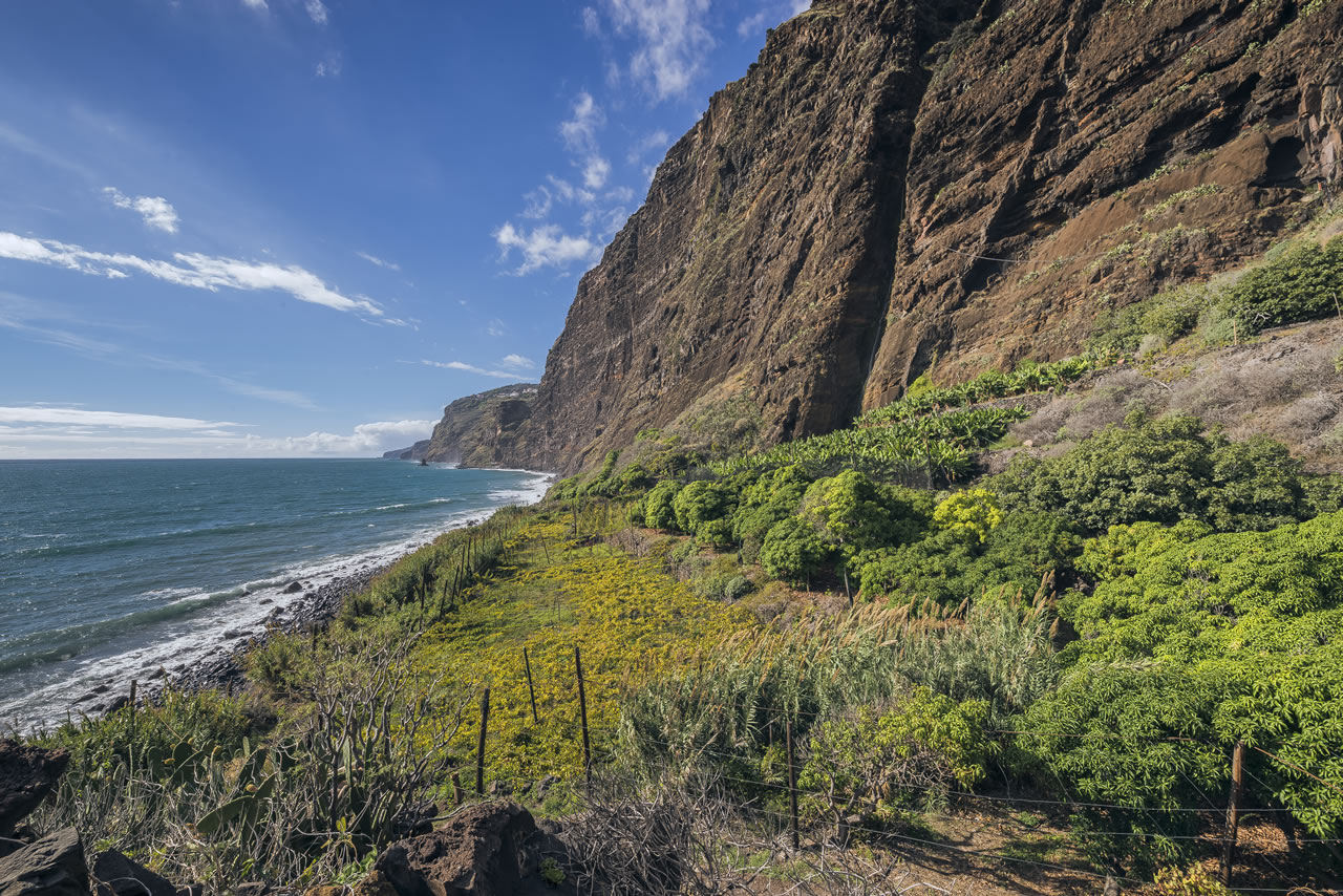 Camara de Lobos - Faja dos Padres