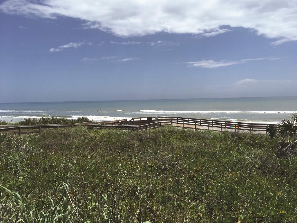 Canaveral National Seashore