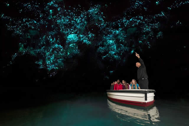 Top 10 experiências imperdíveis na Nova Zelândia - Cavernas de Waitomo - Foto Corin Walker Bain