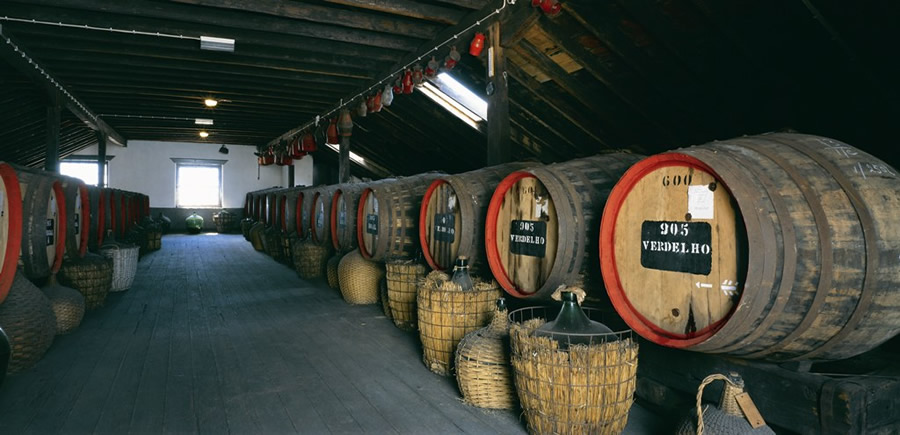 Festa do Vinho - Ilha da Madeira - Portugal