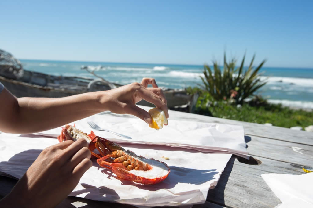 Crayfish em Kaikoura | Canterbury Sara Orme.