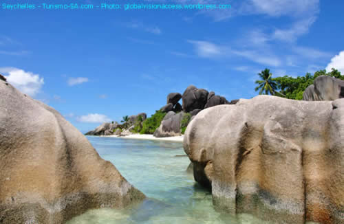 As tartarugas gigantes de Aldabra, na ilha Curieuse em Seychelles