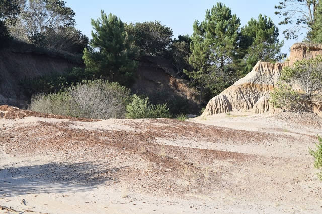 Paisagens milenares se tornam novo destino turstico uruguaio