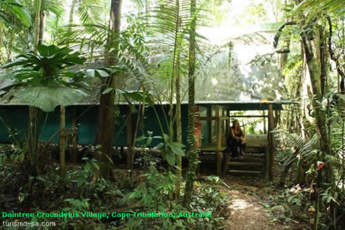 HOSTEL - Daintree Crocodylus Village, Cape Tribulation, Austrália