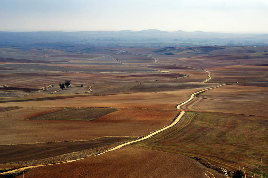 Santiago de Compostela - Espanha - Daniel Agrela - Destinos - Lufares - Guia do Viajante do Caminho de Santiago