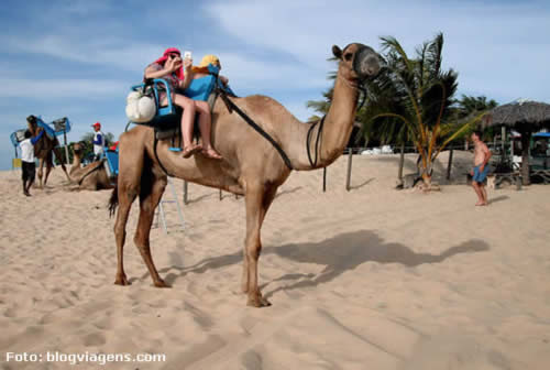 Dromedunas - Jenipabu - Rio Grande do Norte