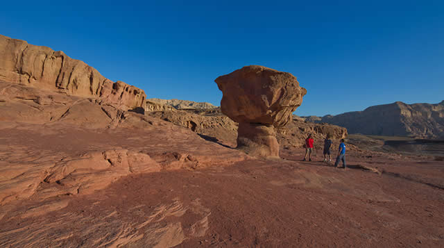 Eilat, Israel, Mar Vermelho, Red Sea, Dolphins Reef