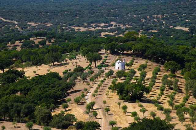 Evoramonte - Alentejo - Portugal